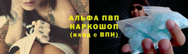 тгк Алексин
